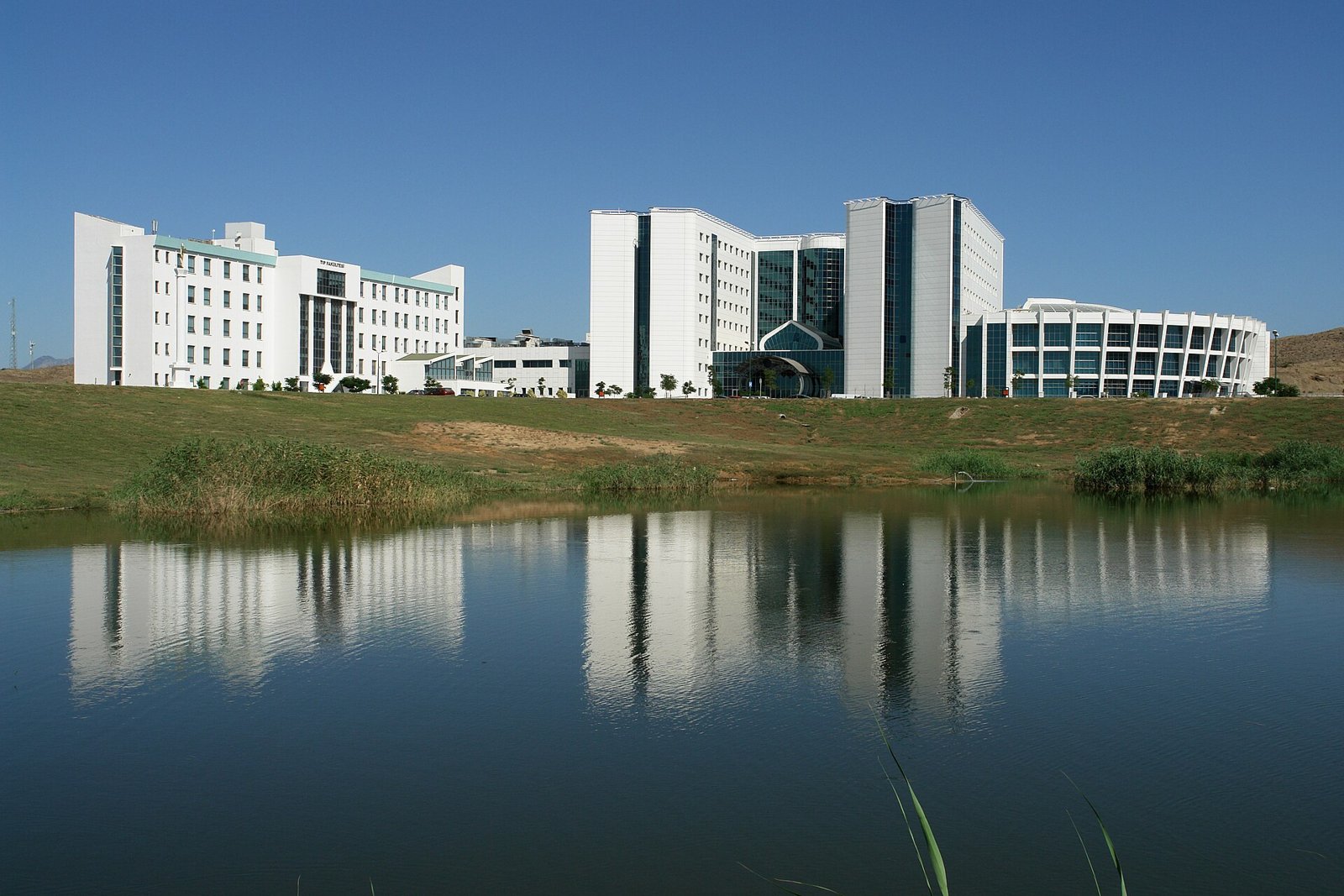 جامعة الشرق الادنى NEU